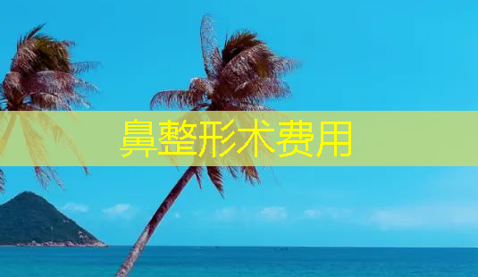 鼻整形术费用-第1张图片-美呗严选网 鼻整形术费用-第1张图片-美呗严选网