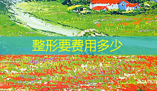 整形要费用多少-第1张图片-美呗严选网 整形要费用多少-第1张图片-美呗严选网