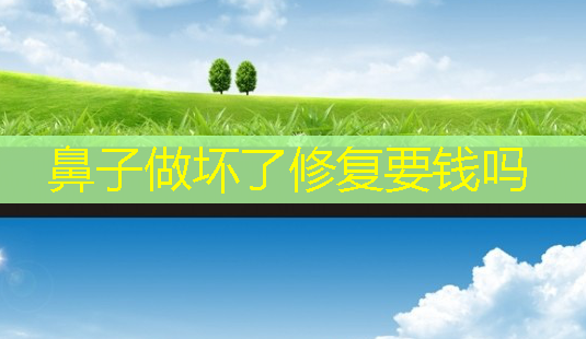 鼻子做坏了修复要钱吗-第1张图片-美呗严选网 鼻子做坏了修复要钱吗-第1张图片-美呗严选网