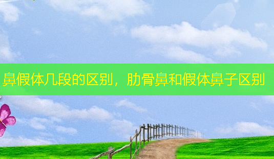 鼻假体几段的区别,肋骨鼻和假体鼻子区别-第1张图片-美呗严选网 鼻假体几段的区别,肋骨鼻和假体鼻子区别-第1张图片-美呗严选网