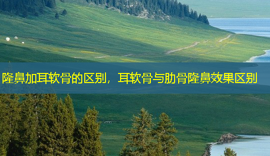 隆鼻加耳软骨的区别,耳软骨与肋骨隆鼻效果区别-第1张图片-美呗严选网 隆鼻加耳软骨的区别,耳软骨与肋骨隆鼻效果区别-第1张图片-美呗严选网