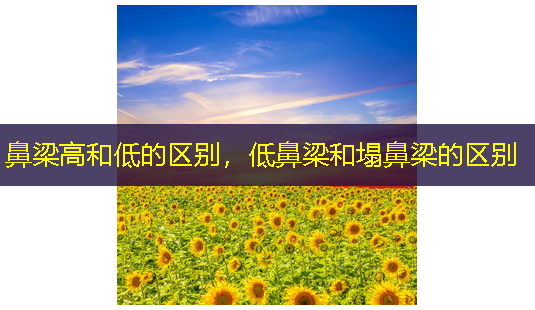鼻梁高和低的区别,低鼻梁和塌鼻梁的区别-第1张图片-美呗严选网 鼻梁高和低的区别,低鼻梁和塌鼻梁的区别-第1张图片-美呗严选网