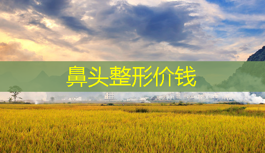 鼻头整形价钱-第1张图片-美呗严选网 鼻头整形价钱-第1张图片-美呗严选网
