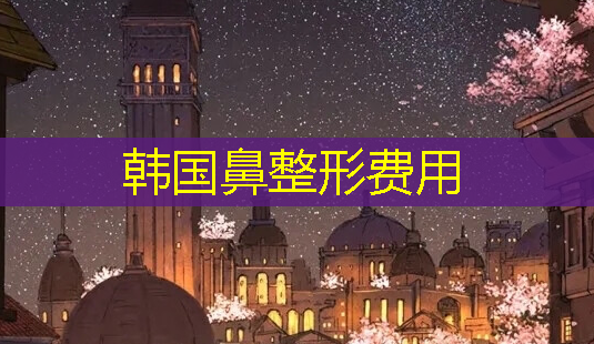韩国鼻整形费用-第1张图片-美呗严选网 韩国鼻整形费用-第1张图片-美呗严选网