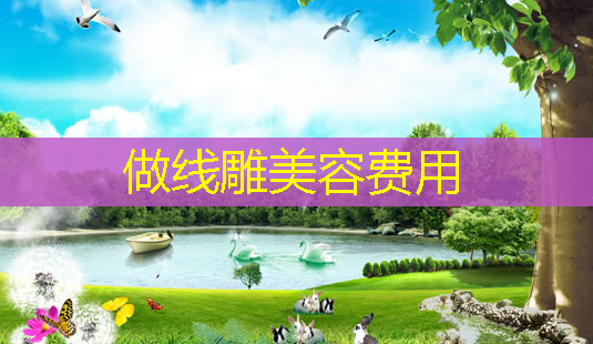 做线雕美容费用-第1张图片-美呗严选网 做线雕美容费用-第1张图片-美呗严选网
