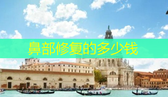 鼻部修复的多少钱-第1张图片-美呗严选网 鼻部修复的多少钱-第1张图片-美呗严选网
