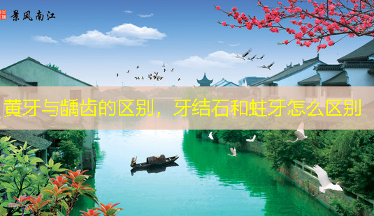 黄牙与龋齿的区别,牙结石和蛀牙怎么区别-第1张图片-美呗严选网 黄牙与龋齿的区别,牙结石和蛀牙怎么区别-第1张图片-美呗严选网
