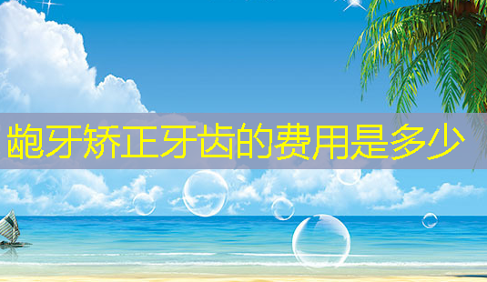 龅牙矫正牙齿的费用是多少-第1张图片-美呗严选网 龅牙矫正牙齿的费用是多少-第1张图片-美呗严选网