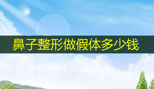 鼻子整形做假体多少钱-第1张图片-美呗严选网 鼻子整形做假体多少钱-第1张图片-美呗严选网