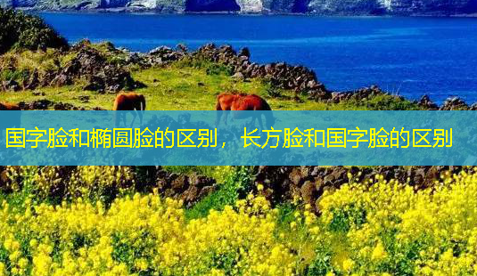 国字脸和椭圆脸的区别,长方脸和国字脸的区别-第1张图片-美呗严选网 国字脸和椭圆脸的区别,长方脸和国字脸的区别-第1张图片-美呗严选网