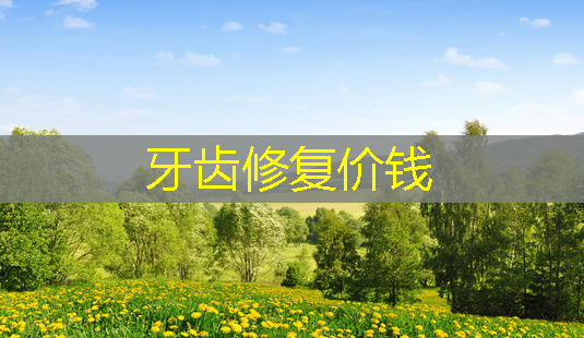 牙齿修复价钱-第1张图片-美呗严选网 牙齿修复价钱-第1张图片-美呗严选网