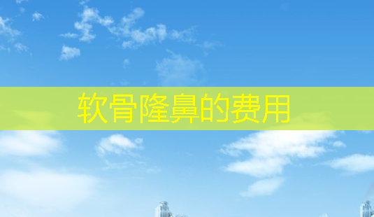 软骨隆鼻的费用-第1张图片-美呗严选网 软骨隆鼻的费用-第1张图片-美呗严选网