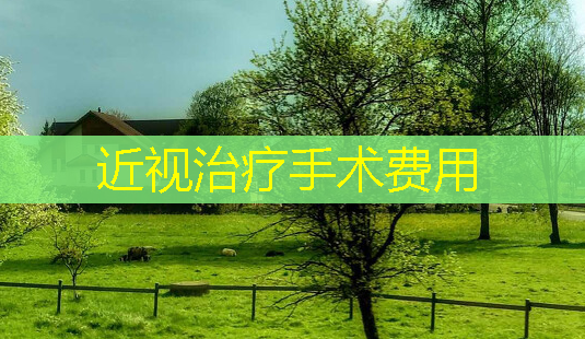 近视手术费用-第1张图片-美呗严选网 近视手术费用-第1张图片-美呗严选网