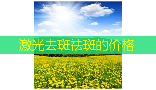 激光去斑祛斑的价格-第1张图片-美呗严选网 激光去斑祛斑的价格-第1张图片-美呗严选网