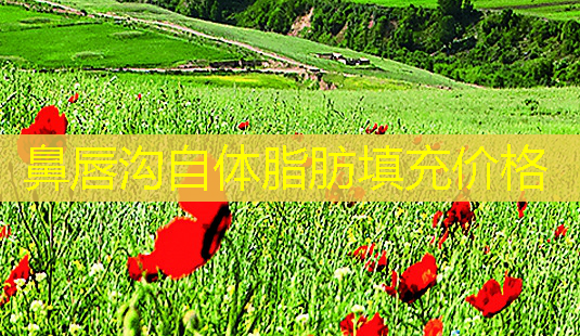 鼻唇沟自体脂肪填充价格-第1张图片-美呗严选网 鼻唇沟自体脂肪填充价格-第1张图片-美呗严选网