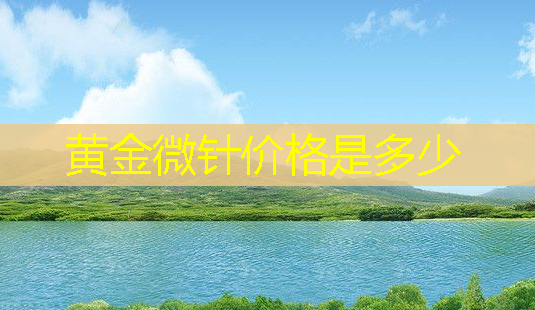 黄金微针价格是多少-第1张图片-美呗严选网 黄金微针价格是多少-第1张图片-美呗严选网