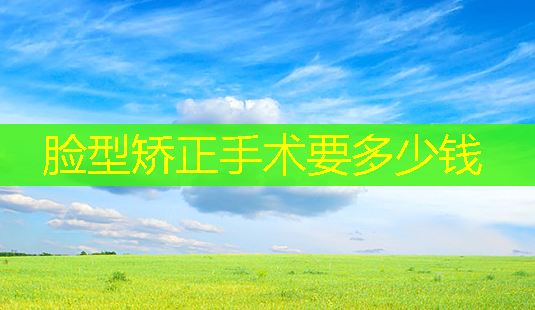 脸型矫正手术要多少钱-第1张图片-美呗严选网 脸型矫正手术要多少钱-第1张图片-美呗严选网