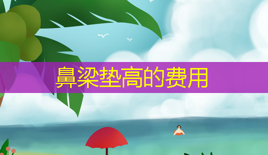 鼻梁垫高的费用-第1张图片-美呗严选网 鼻梁垫高的费用-第1张图片-美呗严选网