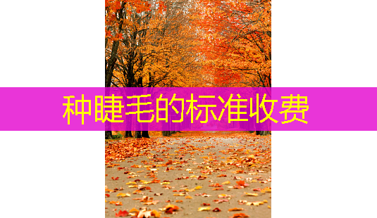 种睫毛的标准收费-第1张图片-美呗严选网 种睫毛的标准收费-第1张图片-美呗严选网