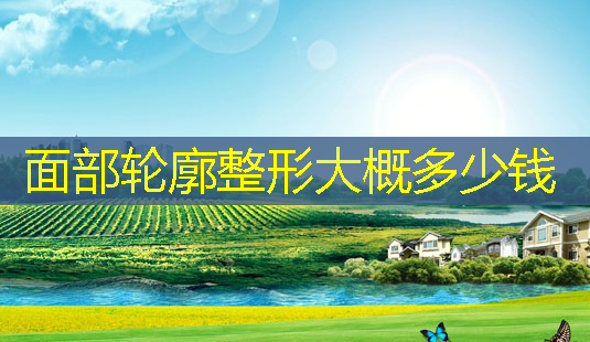 面部轮廓整形大概多少钱-第1张图片-美呗严选网 面部轮廓整形大概多少钱-第1张图片-美呗严选网