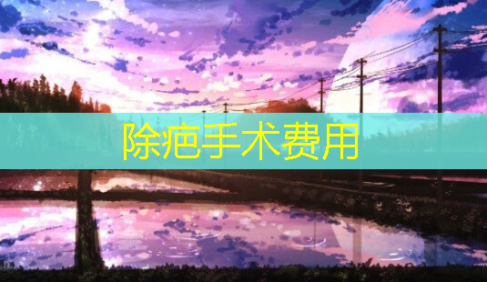 除疤手术费用-第1张图片-美呗严选网 除疤手术费用-第1张图片-美呗严选网