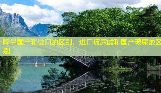 隆鼻国产和进口的区别,进口玻尿酸和国产玻尿酸区别-第1张图片-美呗严选网 隆鼻国产和进口的区别,进口玻尿酸和国产玻尿酸区别-第1张图片-美呗严选网