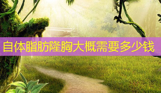 自体脂肪隆胸大概需要多少钱-第1张图片-美呗严选网 自体脂肪隆胸大概需要多少钱-第1张图片-美呗严选网
