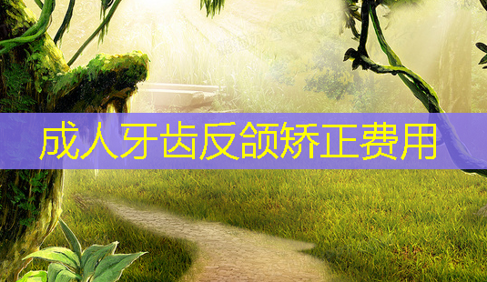 成人牙齿反颌矫正费用-第1张图片-美呗严选网 成人牙齿反颌矫正费用-第1张图片-美呗严选网