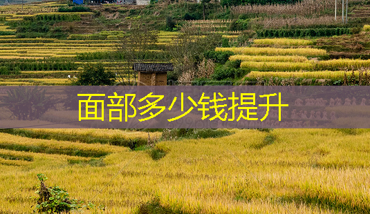 面部多少钱提升-第1张图片-美呗严选网 面部多少钱提升-第1张图片-美呗严选网