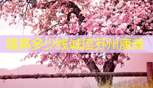 隆鼻多少钱诚信苏州康美-第1张图片-美呗严选网 隆鼻多少钱诚信苏州康美-第1张图片-美呗严选网