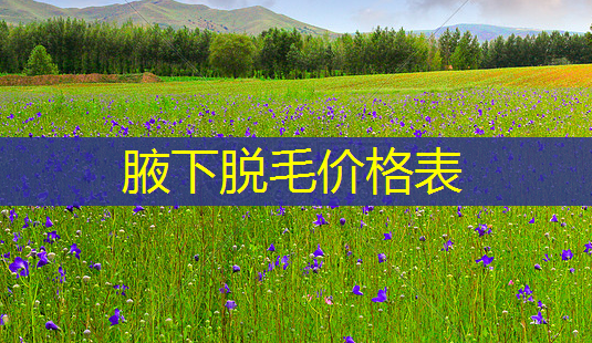 腋下脱毛价格表-第1张图片-美呗严选网 腋下脱毛价格表-第1张图片-美呗严选网