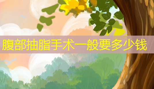 腹部抽脂手术一般要多少钱-第1张图片-美呗严选网 腹部抽脂手术一般要多少钱-第1张图片-美呗严选网