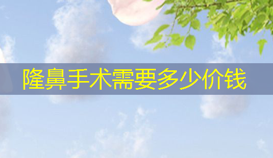 隆鼻手术需要多少价钱-第1张图片-美呗严选网 隆鼻手术需要多少价钱-第1张图片-美呗严选网