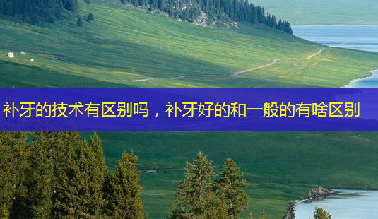 补牙的技术有区别吗,补牙好的和一般的有啥区别-第1张图片-美呗严选网 补牙的技术有区别吗,补牙好的和一般的有啥区别-第1张图片-美呗严选网