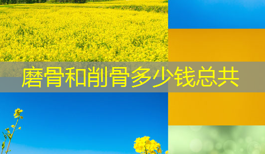 磨骨和削骨多少钱总共-第1张图片-美呗严选网 磨骨和削骨多少钱总共-第1张图片-美呗严选网