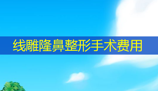 线雕隆鼻整形手术费用-第1张图片-美呗严选网 线雕隆鼻整形手术费用-第1张图片-美呗严选网
