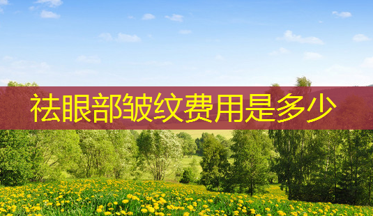 祛眼部皱纹费用是多少-第1张图片-美呗严选网 祛眼部皱纹费用是多少-第1张图片-美呗严选网