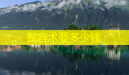 整容术要多少钱-第1张图片-美呗严选网 整容术要多少钱-第1张图片-美呗严选网