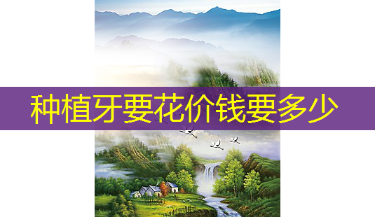 种植牙要花价钱要多少-第1张图片-美呗严选网 种植牙要花价钱要多少-第1张图片-美呗严选网