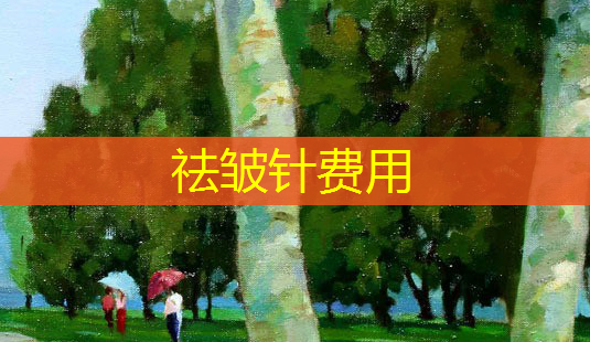 祛皱针费用-第1张图片-美呗严选网 祛皱针费用-第1张图片-美呗严选网