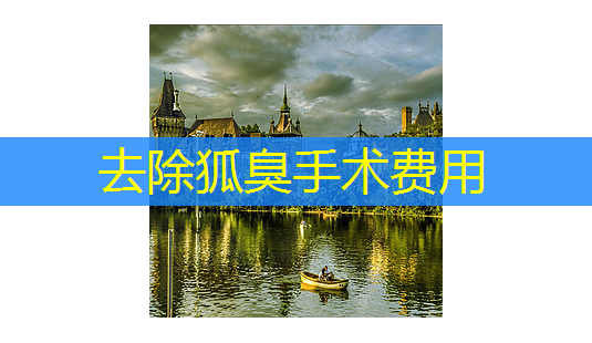 去除狐臭手术费用-第1张图片-美呗严选网 去除狐臭手术费用-第1张图片-美呗严选网