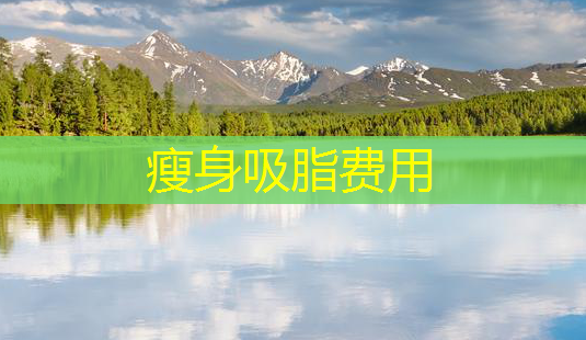 瘦身吸脂费用-第1张图片-美呗严选网 瘦身吸脂费用-第1张图片-美呗严选网