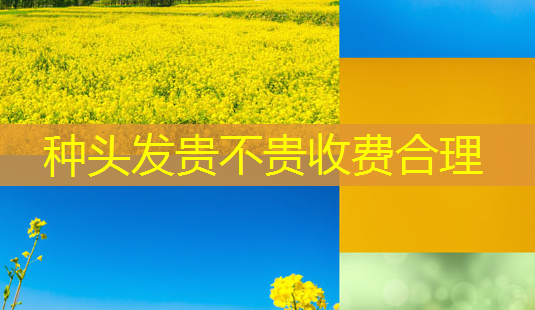种头发贵不贵收费合理-第1张图片-美呗严选网 种头发贵不贵收费合理-第1张图片-美呗严选网