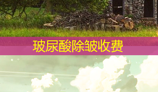 玻尿酸除皱收费-第1张图片-美呗严选网 玻尿酸除皱收费-第1张图片-美呗严选网