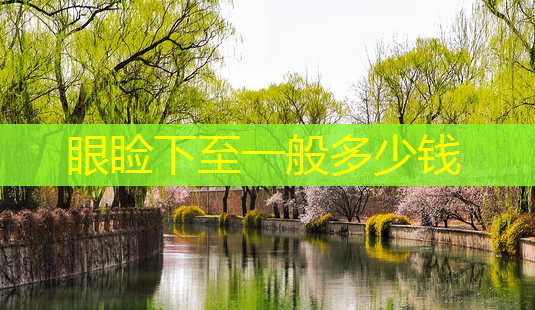 眼睑下至一般多少钱-第1张图片-美呗严选网 眼睑下至一般多少钱-第1张图片-美呗严选网
