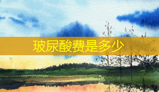 玻尿酸费是多少-第1张图片-美呗严选网 玻尿酸费是多少-第1张图片-美呗严选网