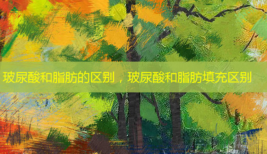 玻尿酸和脂肪的区别,玻尿酸和脂肪填充区别-第1张图片-美呗严选网 玻尿酸和脂肪的区别,玻尿酸和脂肪填充区别-第1张图片-美呗严选网