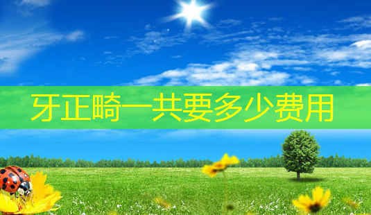 牙正畸一共要多少费用-第1张图片-美呗严选网 牙正畸一共要多少费用-第1张图片-美呗严选网
