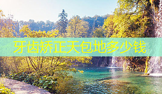 牙齿矫正天包地多少钱-第1张图片-美呗严选网 牙齿矫正天包地多少钱-第1张图片-美呗严选网