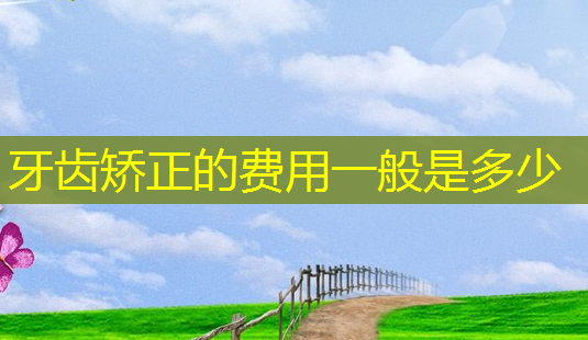 牙齿矫正的费用一般是多少-第1张图片-美呗严选网 牙齿矫正的费用一般是多少-第1张图片-美呗严选网